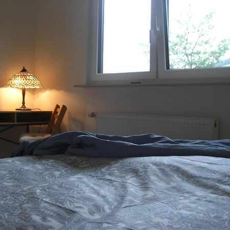 Ferienwohnung Alter Weinberg Sarrebourg Extérieur photo