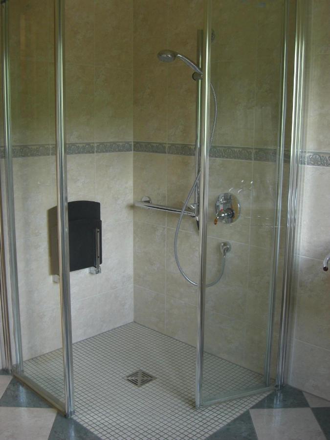 Ferienwohnung Alter Weinberg Sarrebourg Extérieur photo