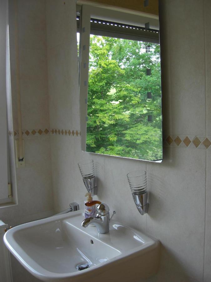 Ferienwohnung Alter Weinberg Sarrebourg Extérieur photo