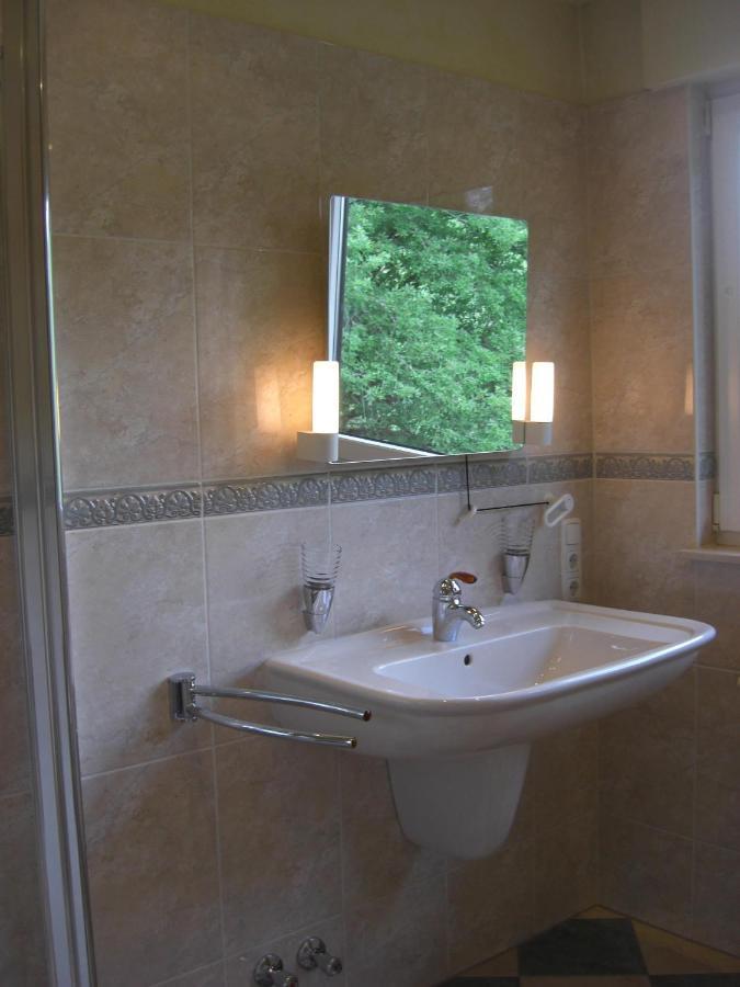 Ferienwohnung Alter Weinberg Sarrebourg Extérieur photo