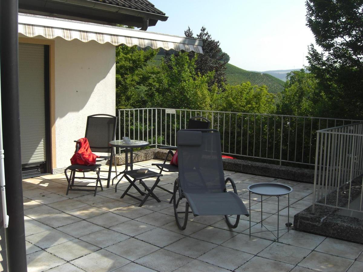 Ferienwohnung Alter Weinberg Sarrebourg Extérieur photo